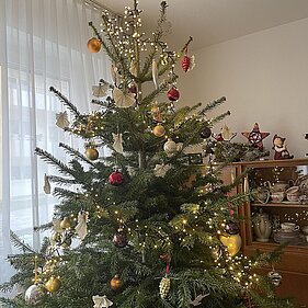 Weihnachtsbaum