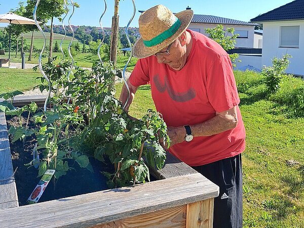 Person bepflanz ein Blumenbeet