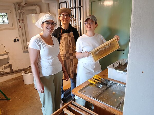 Das Team beim entdeckeln der Honigwaben