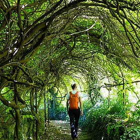 Natur-Tunnel