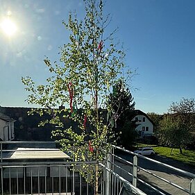 Maibaum