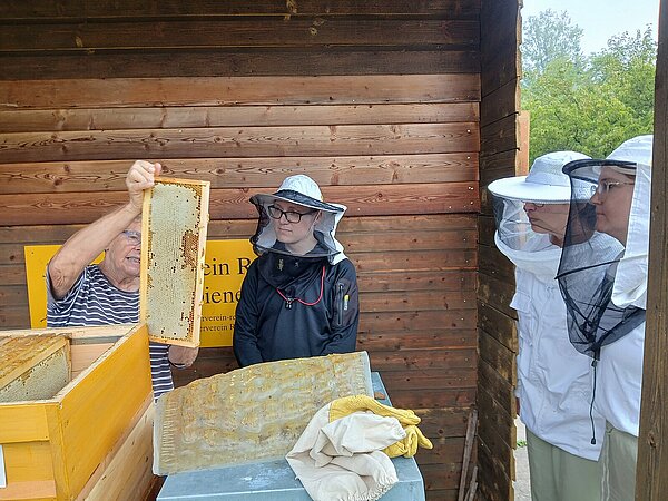 Das Team beim Entnehmen der Waben aus den Bienenstöcken