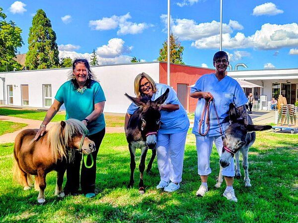 Personen mit Eseln und einem Pony