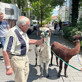 Mensch und Streichelzoo